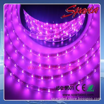 50 50 rgb led strip 220v waterproof IP66